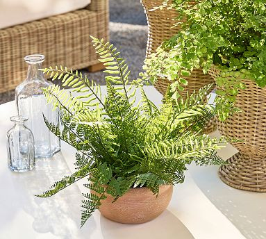 Faux Composed Mixed Fern | Pottery Barn (US)