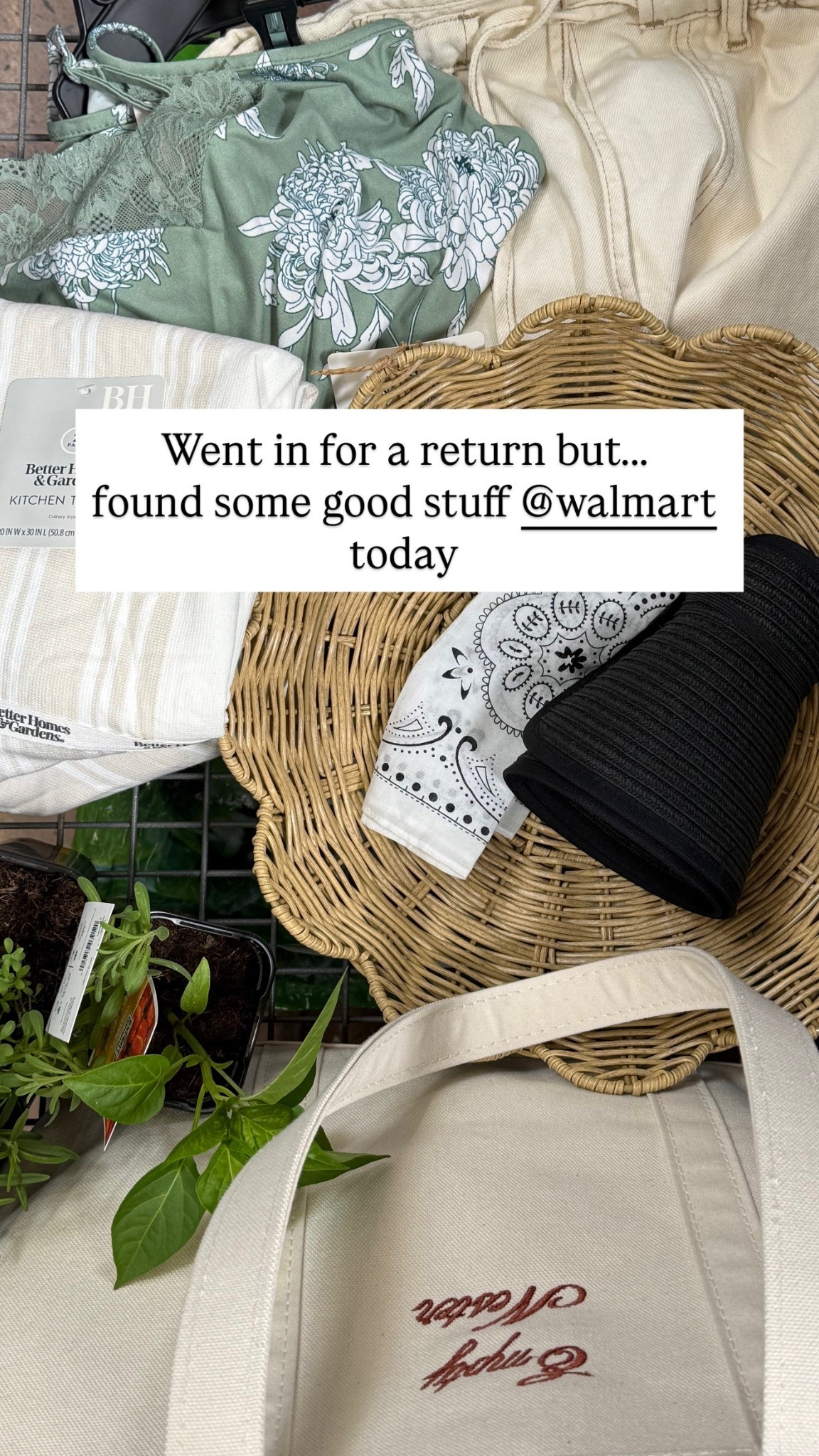 What’s in my cart today 