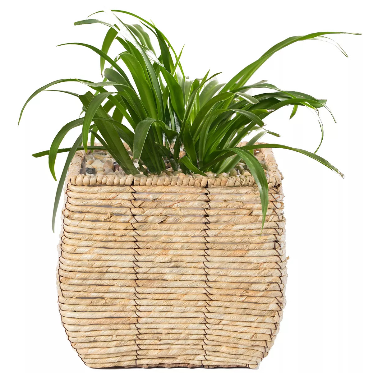 Woven Square Flowerpot Planter with Leak-Proof Plastic Lining | Kohl's