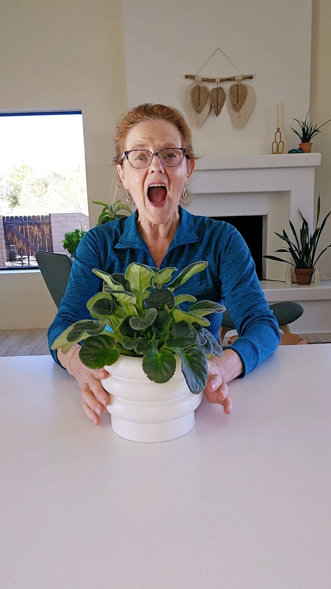 Shop this bubble planter from Amazon it’s perfect for small indoor houseplants. 

#LTKVideo #LTKfindsunder100 #LTKfindsunder50