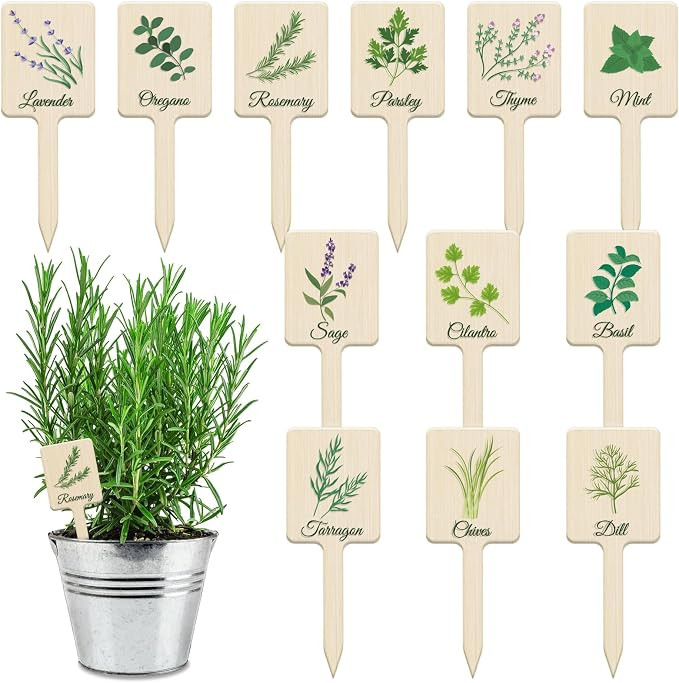 UPINS 24Pcs Acrylic Plant Labels Herb Plant Markers Plant Tags Signs with Printed Name for Indoor... | Amazon (US)