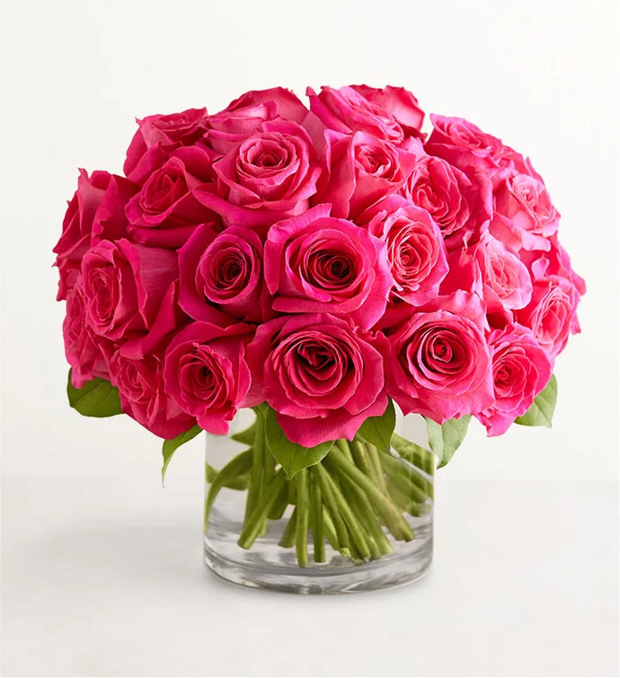 Contemporary Hot Pink Roses | 1800flowers.com