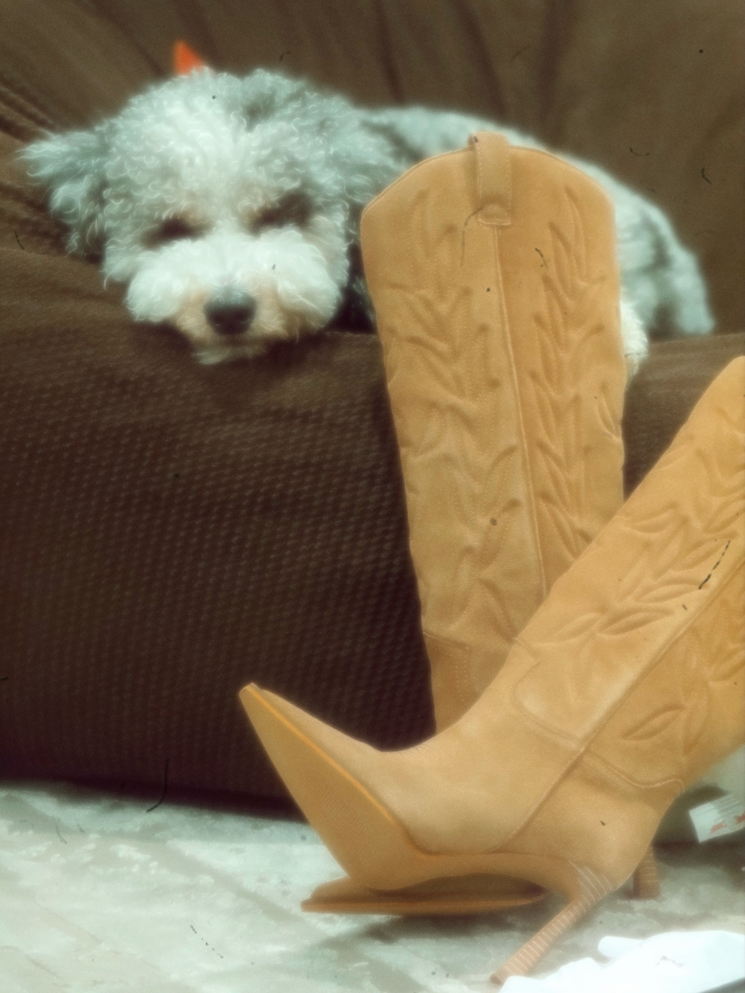 Save a horse… 🐴

#LTKSaleAlert #LTKStyleTip #LTKShoeCrush