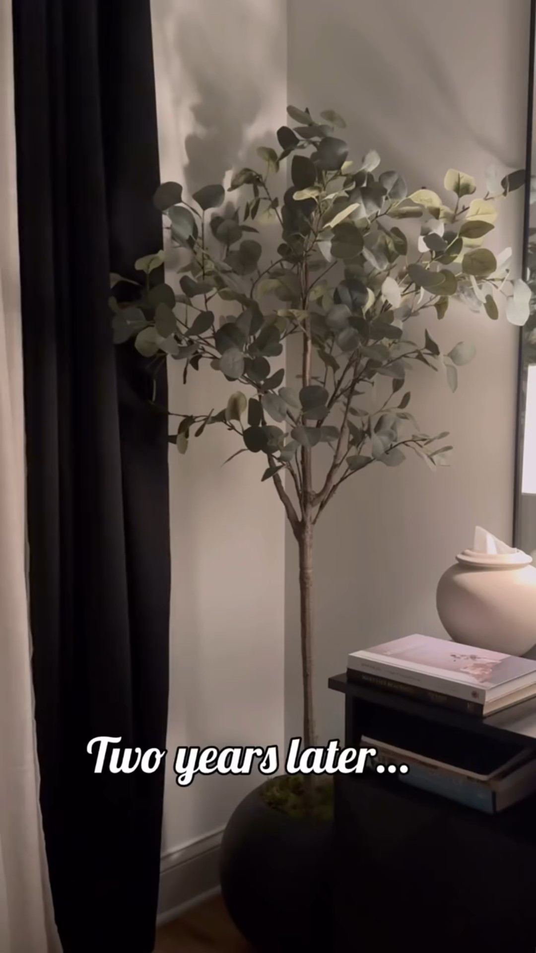 Two years later…and still fooling everyone

This faux tree has been with me for two years, and it still looks this good. No watering. Just timeless greenery that brings warmth and texture into any room.

Tip: Place it near natural light and add a textured planter for a realistic touch.

Timeless, low-maintenance, and still going strong.

I have the 5ft, but also linking the 6ft and  7ft to my LTK

📌If you’ve been eyeing something from my space, it’s probably in my LTK.  

#FauxTree #homedecorinspo #InteriorStyling #DecorTips #EvergreenDecor #bedroomvibes #amazon #greenerygoals #amazonprime

#LTKHome #LTKStyleTip