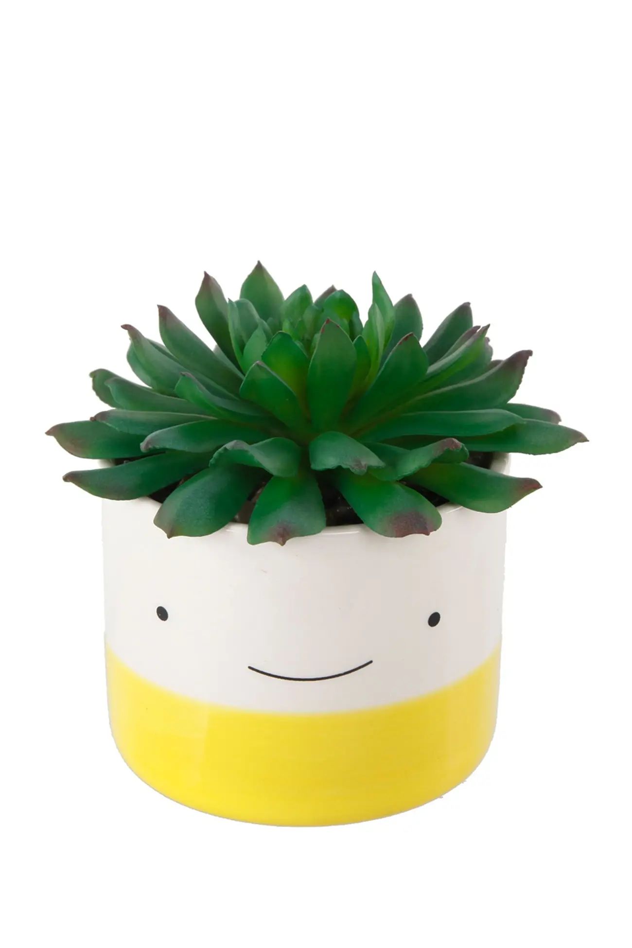 FLORA BUNDA | Happy Face Succulent Pot - Set of 3 | Nordstrom Rack | Nordstrom Rack