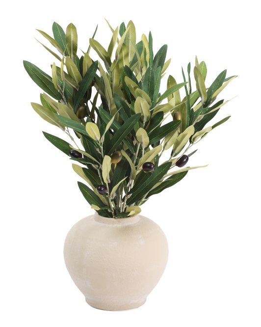 18in Olive Branches In Ceramic Pot | Plants & Planters | Marshalls | Marshalls