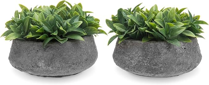 MyGift Mini Artificial Faux Boxwood Plant in Rustic Concrete Pots, Set of 2 | Amazon (US)