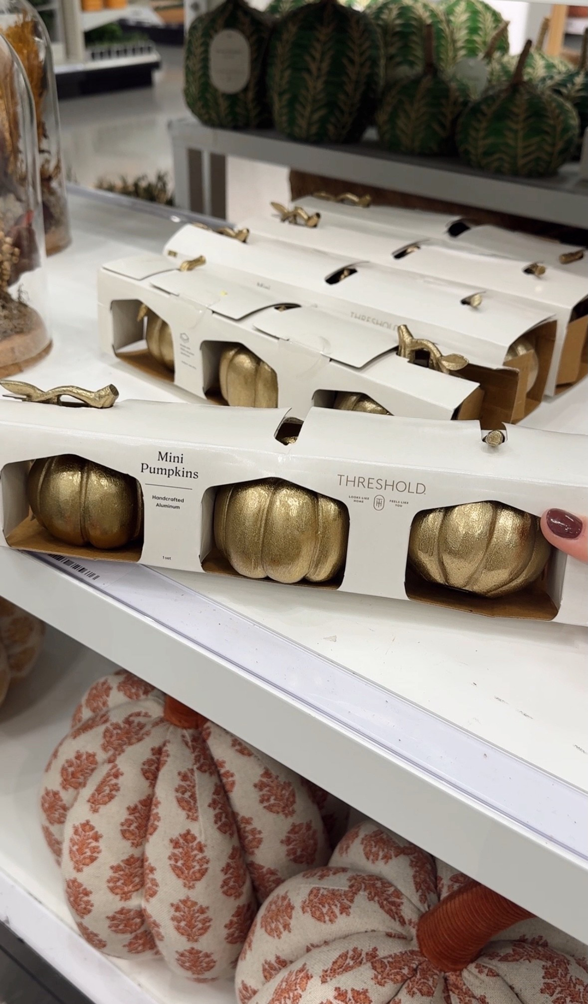 Faux pumpkins, fall decor, Halloween decor

#LTKHome #LTKSeasonal #LTKFindsUnder50