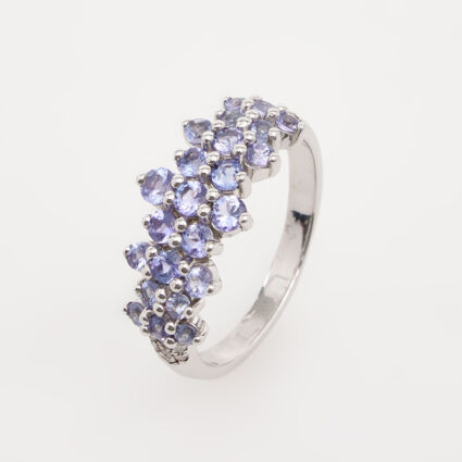 Silver & Tanzanite Embellished Ring | TK Maxx