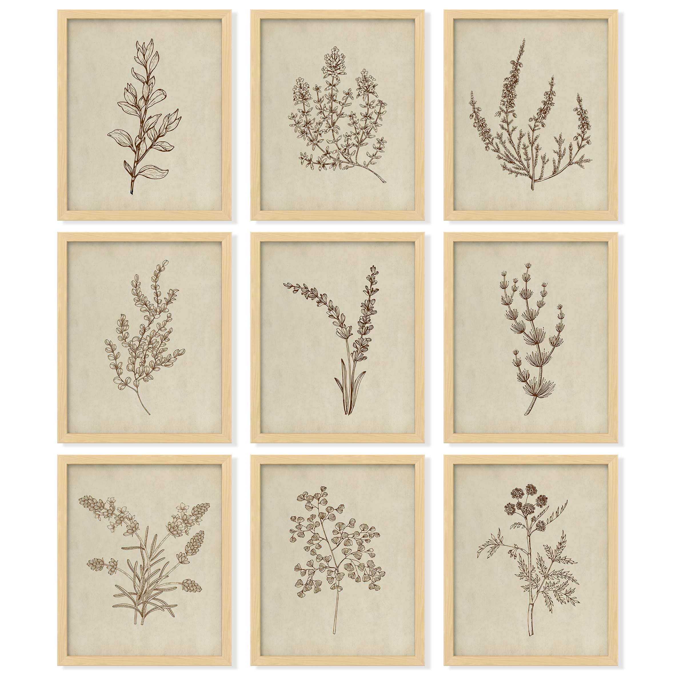 97 Decor Botanical Wall Art - Vintage Botanical Prints, Plant Art Wall Decor, Neutral Floral Wall... | Amazon (UK)