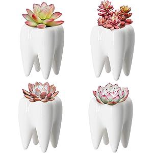 YOFIT Modern Style Teeth Pots Ceramic Flower Pot, White Succulent Cactus Bonsai Planter Container... | Amazon (US)