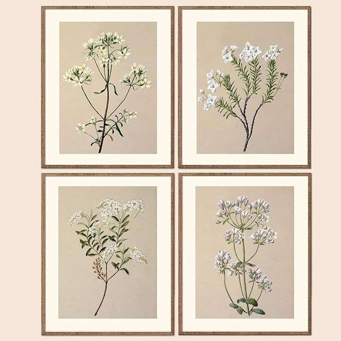 Framed Set of 4 Boho Wall Decor Botanical Wall Art Prints Rustic Vintage Flower Minimalist Neutra... | Amazon (US)