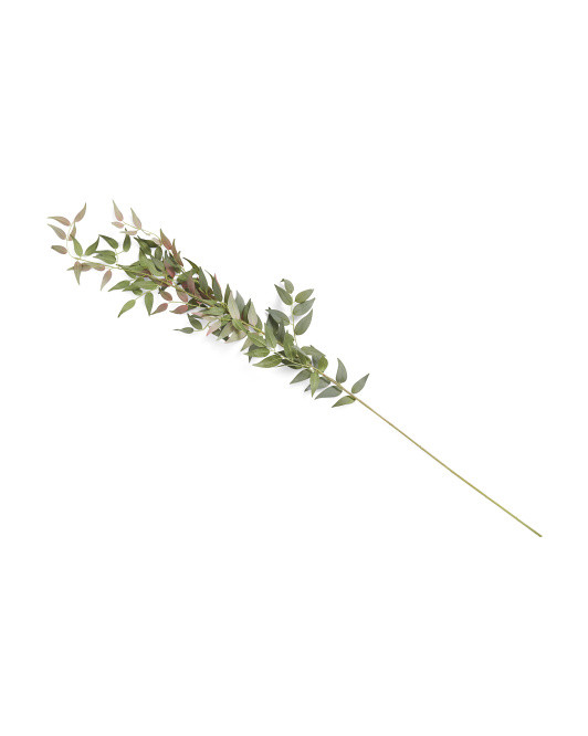 49in Italian Ruscus Leaf Branch | TJ Maxx