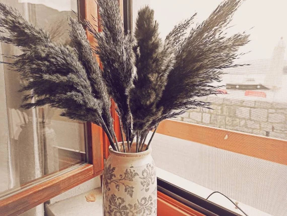 CLASSIC DARK GRAY Pampas Grass/one1 Stem/dried Reeds/dry - Etsy | Etsy (US)
