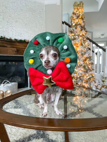 Christmas wreath costume! This one is currently sold out but I linked similar items. 

Dog Christmas, dog accessories 

#LTKHoliday #LTKfamily #LTKSeasonal