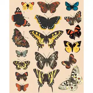 Butterflies Paint-by-Number Kit by Artist's Loft® | Michaels Stores
