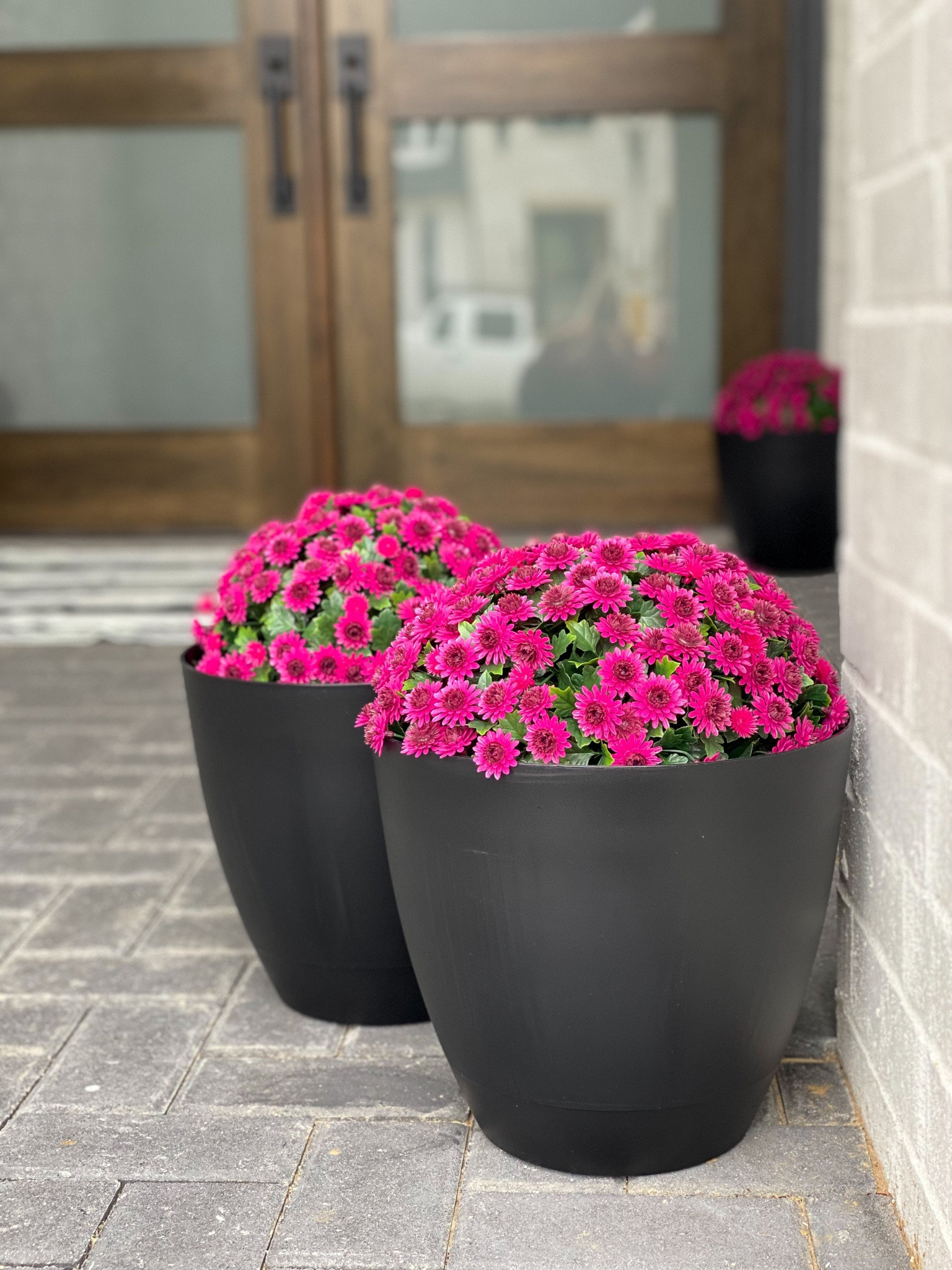 Faux mums 

#LTKSeasonal #LTKhome #LTKunder50