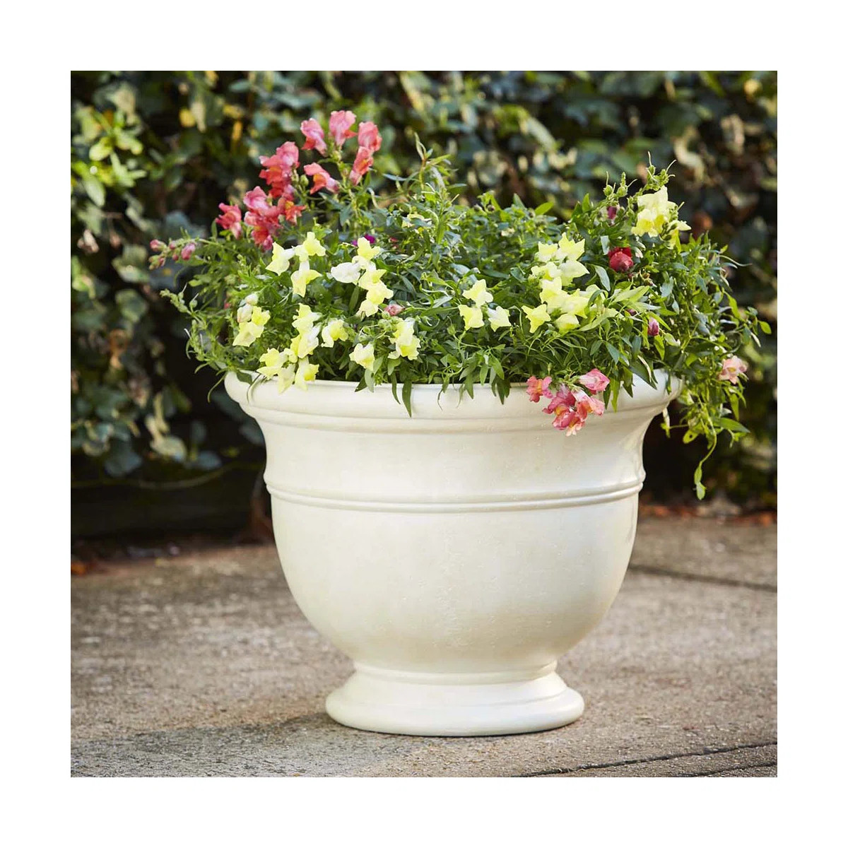 Jean Pierre Planter Urn Planter | Wayfair North America