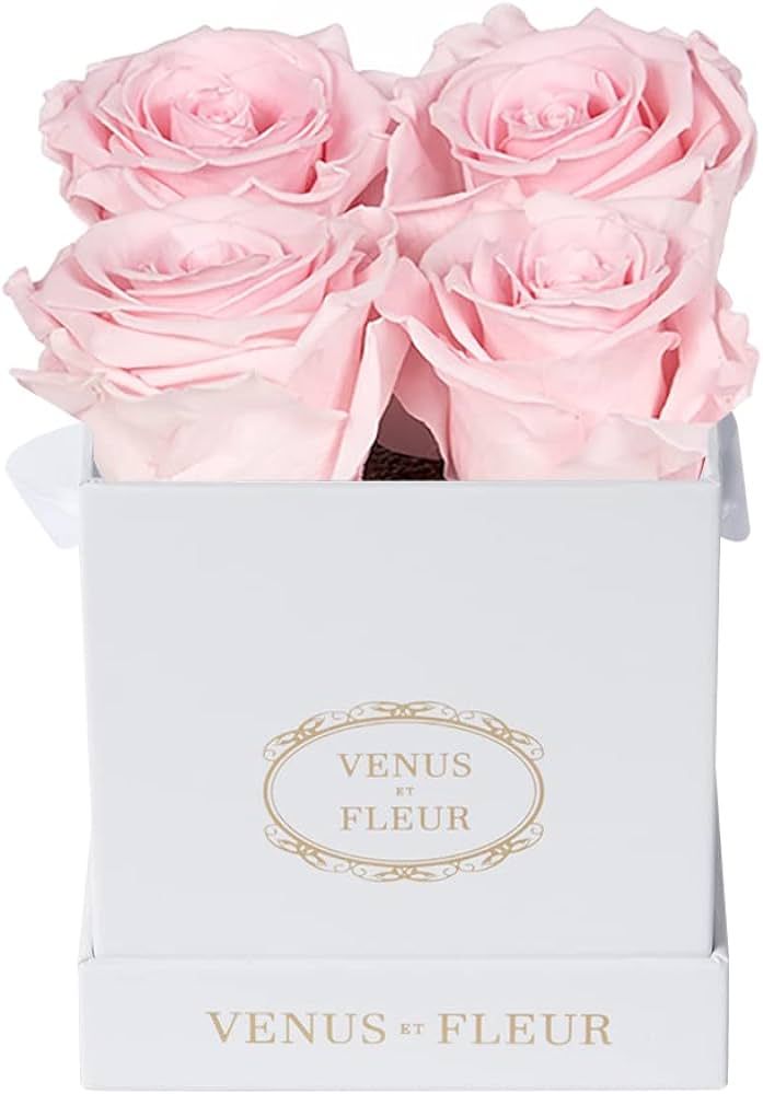 Venus et Fleur Le Petit Square - The Original Preserved Roses in a Box That Last a Year - White G... | Amazon (US)