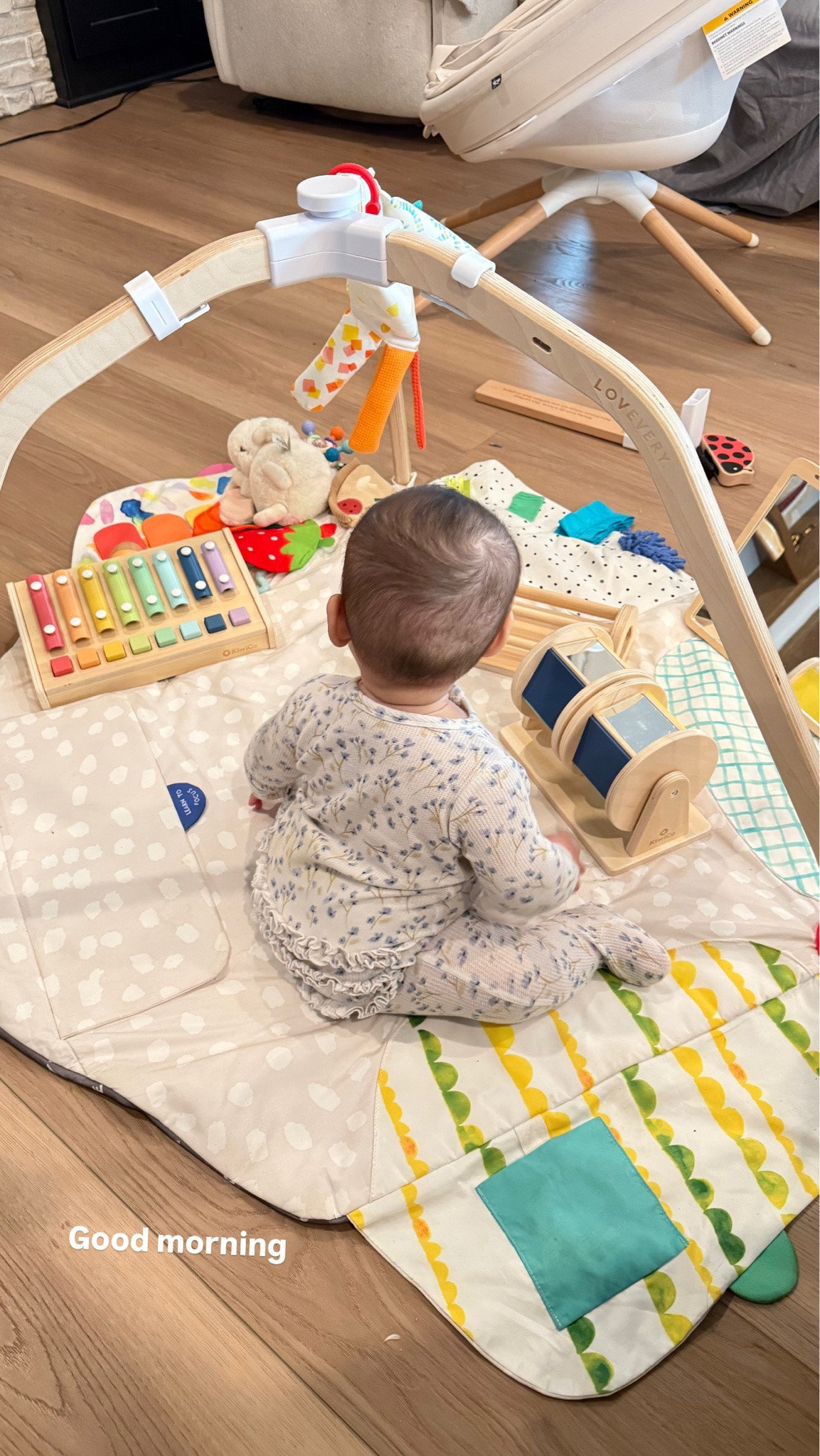 We love this play gym and sensory strands bundle!

amazon finds, baby favorites, baby play gym, baby sensory activity 

 #LTKSeasonal