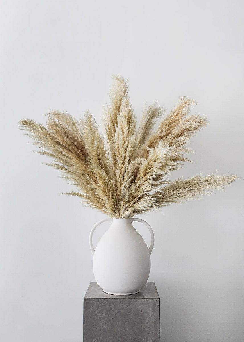 Bundle of 3 Dried Natural Pampas Grass - 40-48 | Afloral (US)