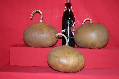GOURDS 3 - 6" UP TO 6-3/4"  CANTEEN GOURDS ( DRIED AND CLEANED) | eBay US