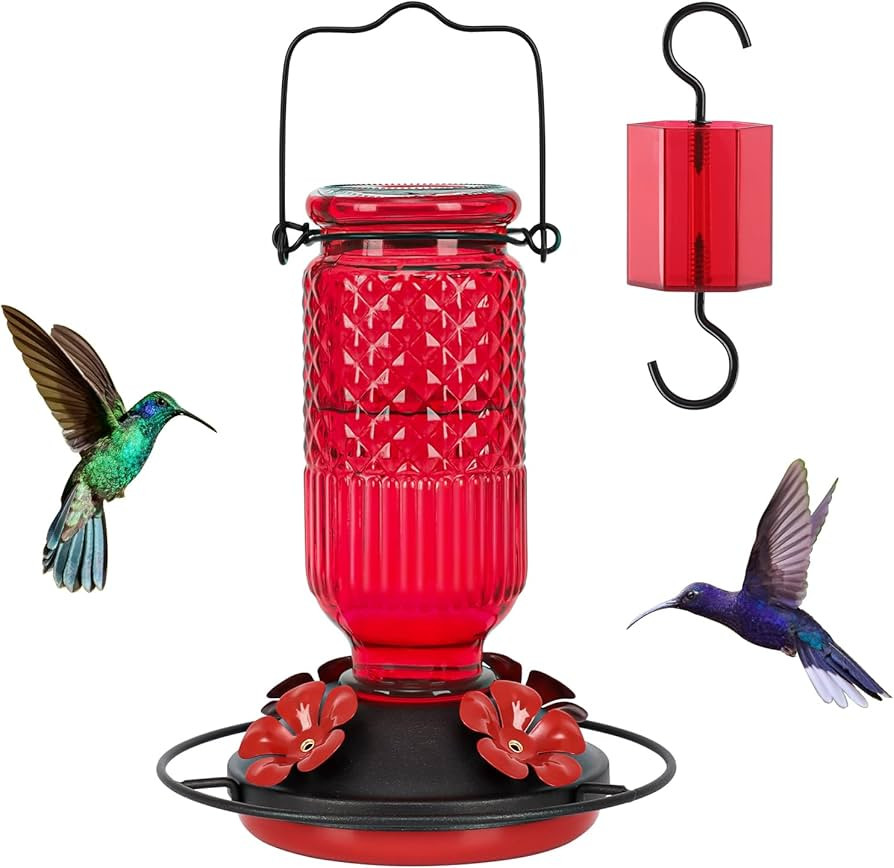 FEED GARDEN Glass Hummingbird Feeder for Outdoors Hanging, 16 OZ Humming Birds Feeders with 4 Bee... | Amazon (US)