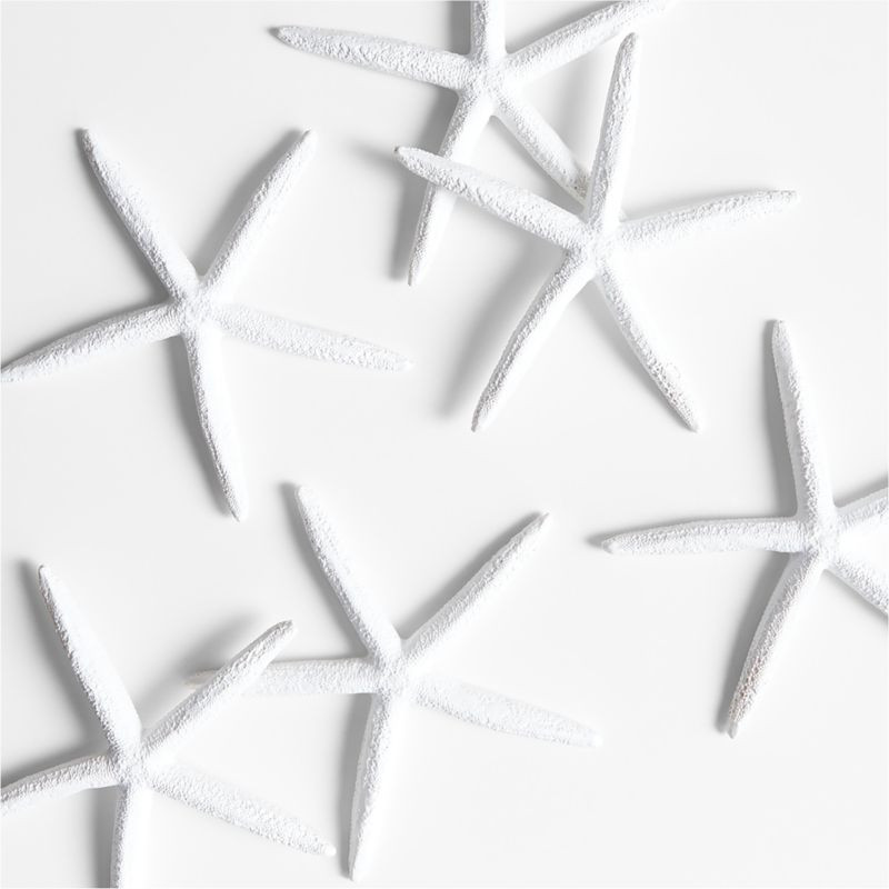 Faux Starfish Bowl Filler, Set of 6 + Reviews | Crate & Barrel | Crate & Barrel