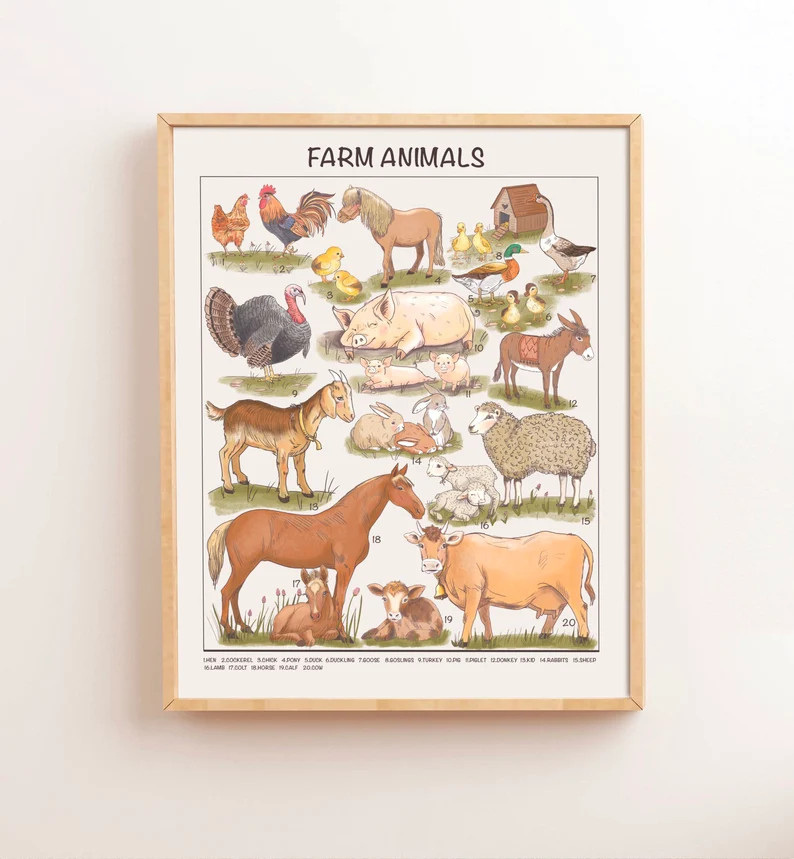 Farm Animals Educational Posters, Homeschool Classroom Preschool Downloadable Prints, Printable M... | Etsy (US)