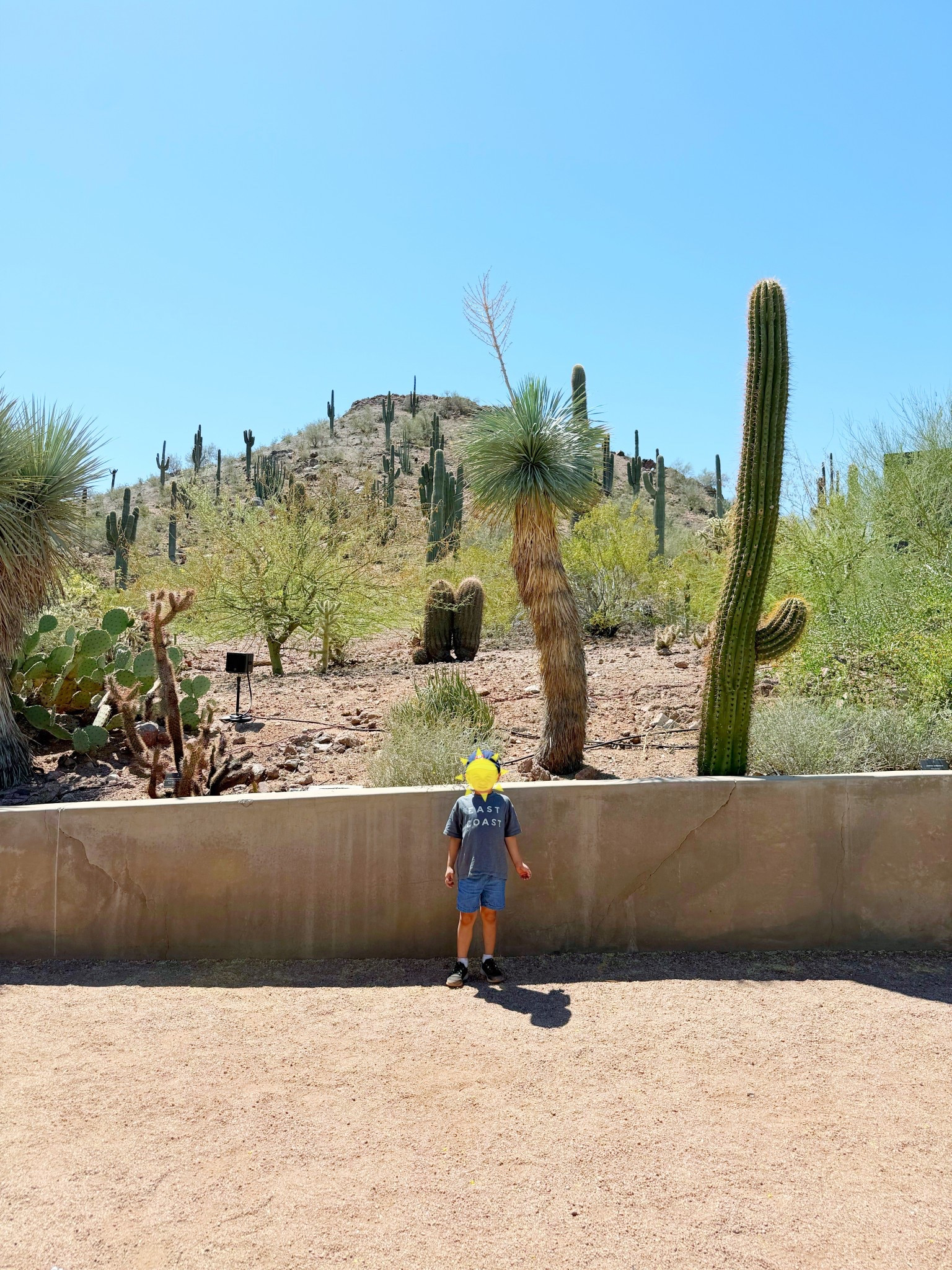Representing where we’re from while visiting Arizona recently ☀️ 

It was hot but boy did we have a blast (plus, we’re used to hot all year round in South Florida anyway 😆). 

I’ll be sharing more from our trip but boy did we take loads of photos and videos! So much to sift through and edit so I can share here with you all. 

I’ll keep posting trip content through the rest of April so make sure you check back if you’ve got a summer trip planned for outfit inspo and routines (or lack thereof lol) that work for us!

Save this for trip inspo, find more like this in my Kids Fashion and Travel collections, and follow me for more ✨

summer outfit • kids summer outfit • toddler summer outfit • sibling matching outfit • kids matching outfits • travel outfit • kids travel outfit • vacation outfit • kids vacation outfit • toddler vacation outfit 

#LTKKids #LTKootd #LTKTravel