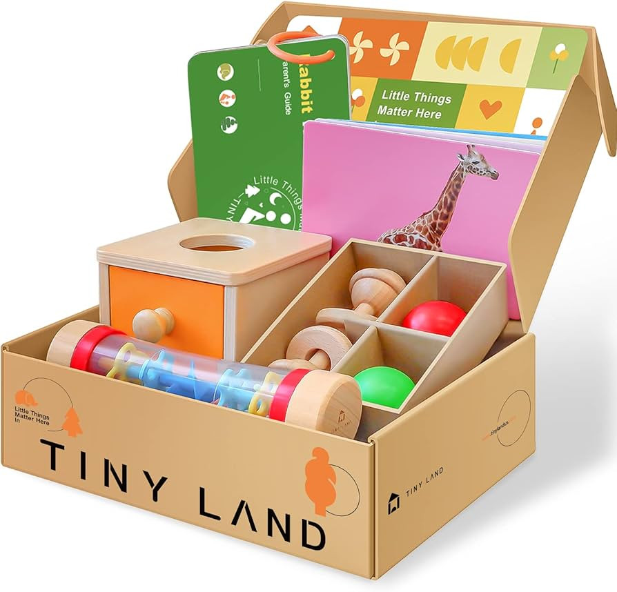 Tiny Land Montessori Toys for Babies 6-12 Months-4-in-1 Wooden Learning Educational Toy Set with Teething Toy, Rainmaker, Flash Cards, and Object Permanence Box, for 1 Year Old Infant | Amazon (US)