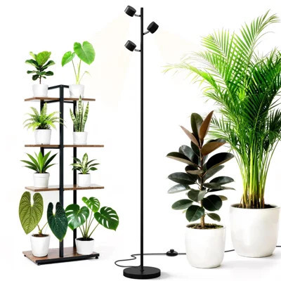 Standing Grow Lights for Indoor Plant, 6FT 30W 5000K High PPFD，Vertical Plant Lights for Growing, Tall Plant, Adjustable 3 Heads, 6 Foot with Foot Swi | Wayfair North America