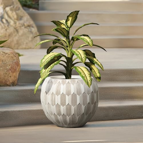 LuxenHome 14" Dia Round Concrete Planter, Flower Pot for Plants | Amazon (US)