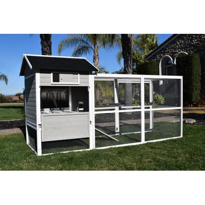 Chelsea-May 19.13 Walk in Chicken Coop with Chicken Run | Wayfair North America