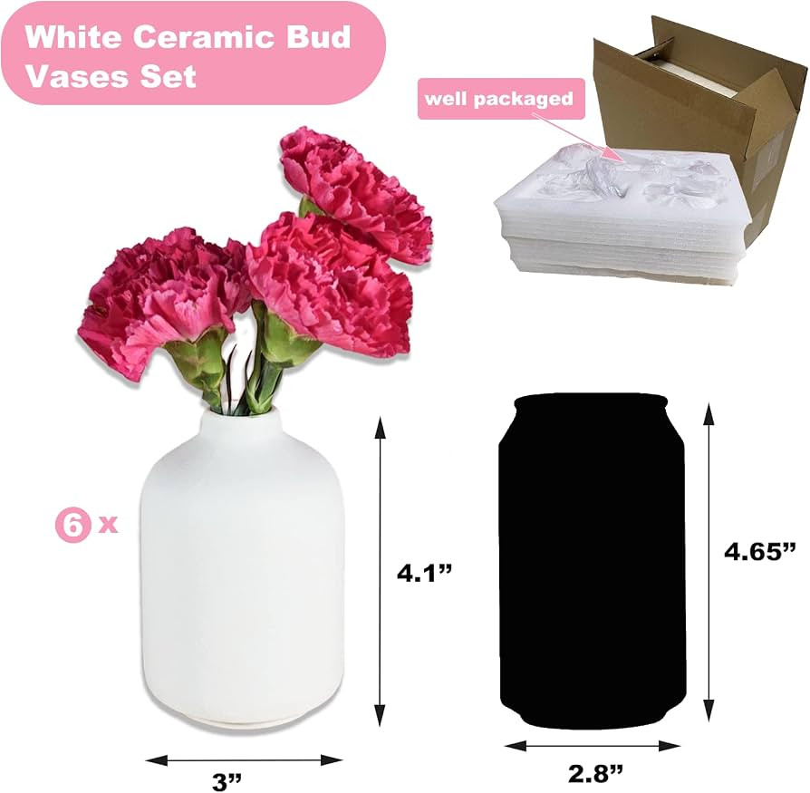 Small White Ceramic Vases Set 6 for Decor, Boho Bud Vases for Dry Flower, 4.1''H x 3''W White Cer... | Amazon (US)