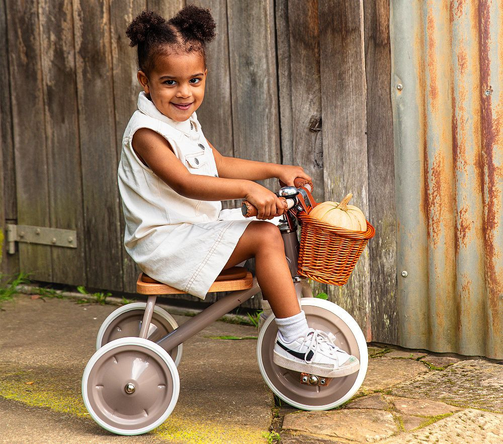 Banwood Trike | Pottery Barn Kids