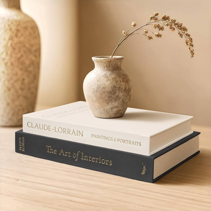Vine Creations Decorative Books - Set of 2 Linen Hardcover Boxes with Storage - Aesthetic Fake Bo... | Amazon (US)
