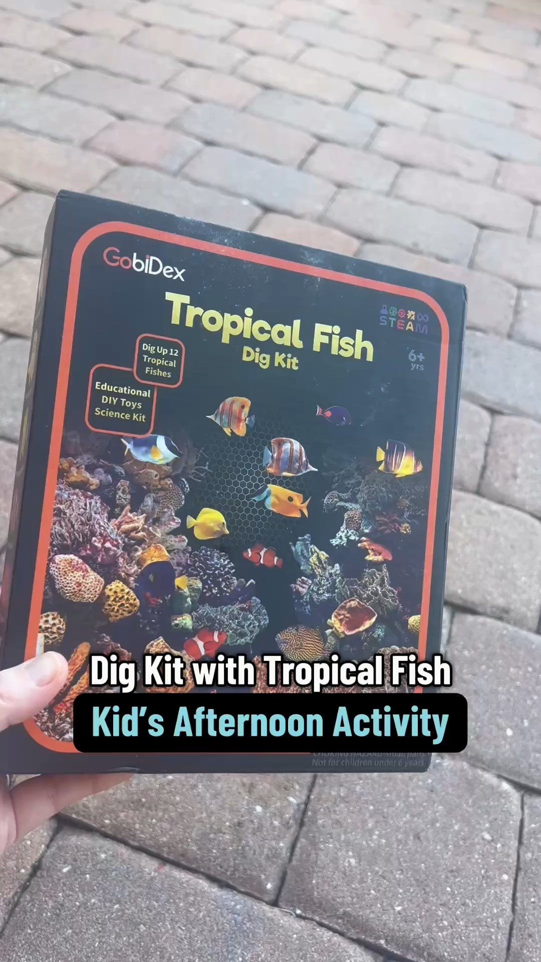 Tropical fish dig kit for your kids! STEM activity for kids

#LTKFamily #LTKWatchNow #LTKKids