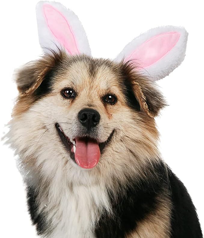 Yuyeran Christmas Pet Headband Fluffty Bunny Ears Headband Easter Party Puppy Headwear Supplies f... | Amazon (US)
