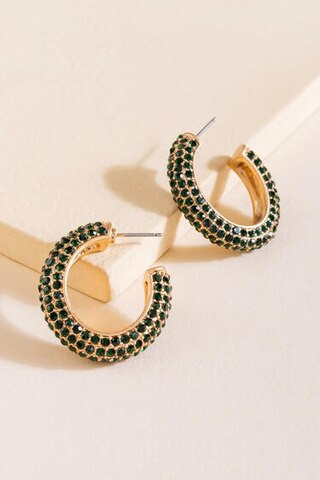 Gemma Pavè Crystal Thick Hoop Earrings | Francesca's