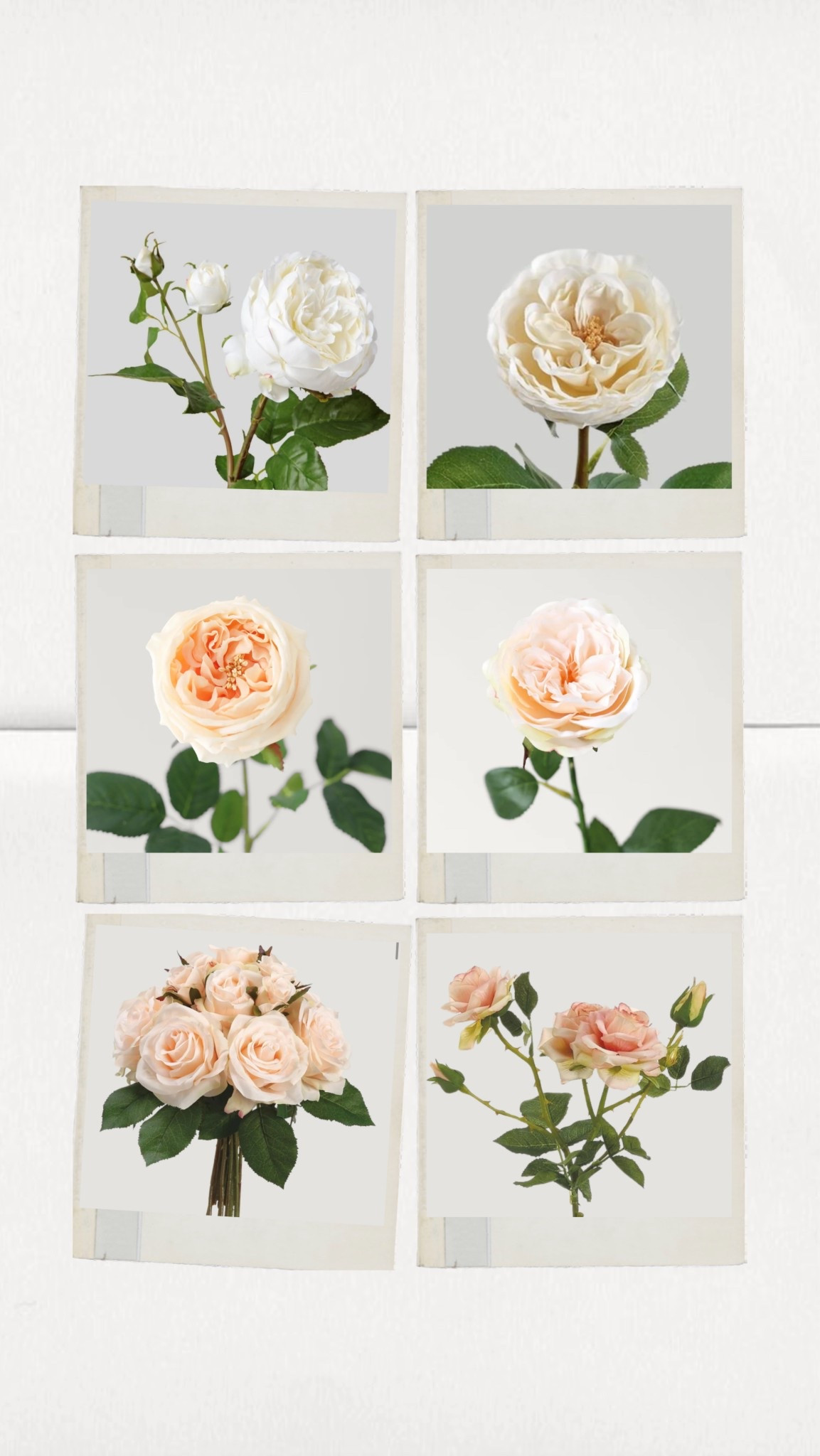 Lovely faux florals just in time for spring. 

#LTKSeasonal #LTKWedding #LTKHome