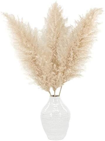 Meadowlux Tall Dried Pampas Grass - Premium 3 Stems 43-46", Fluffy Feathers for Vase, Modern Farm... | Amazon (US)