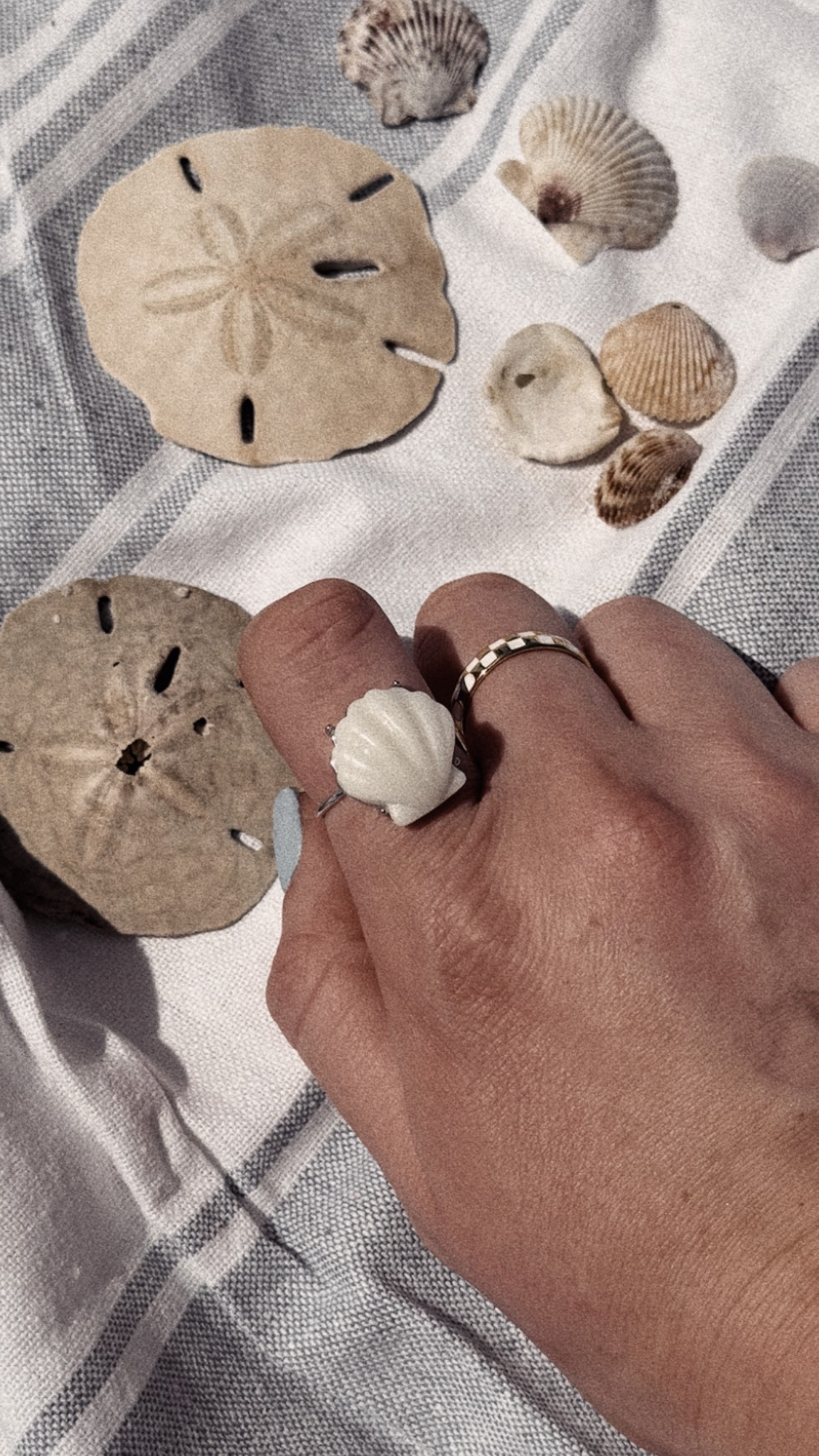 Favorite rings!


#LTKFindsUnder100 #LTKSwim #LTKStyleTip