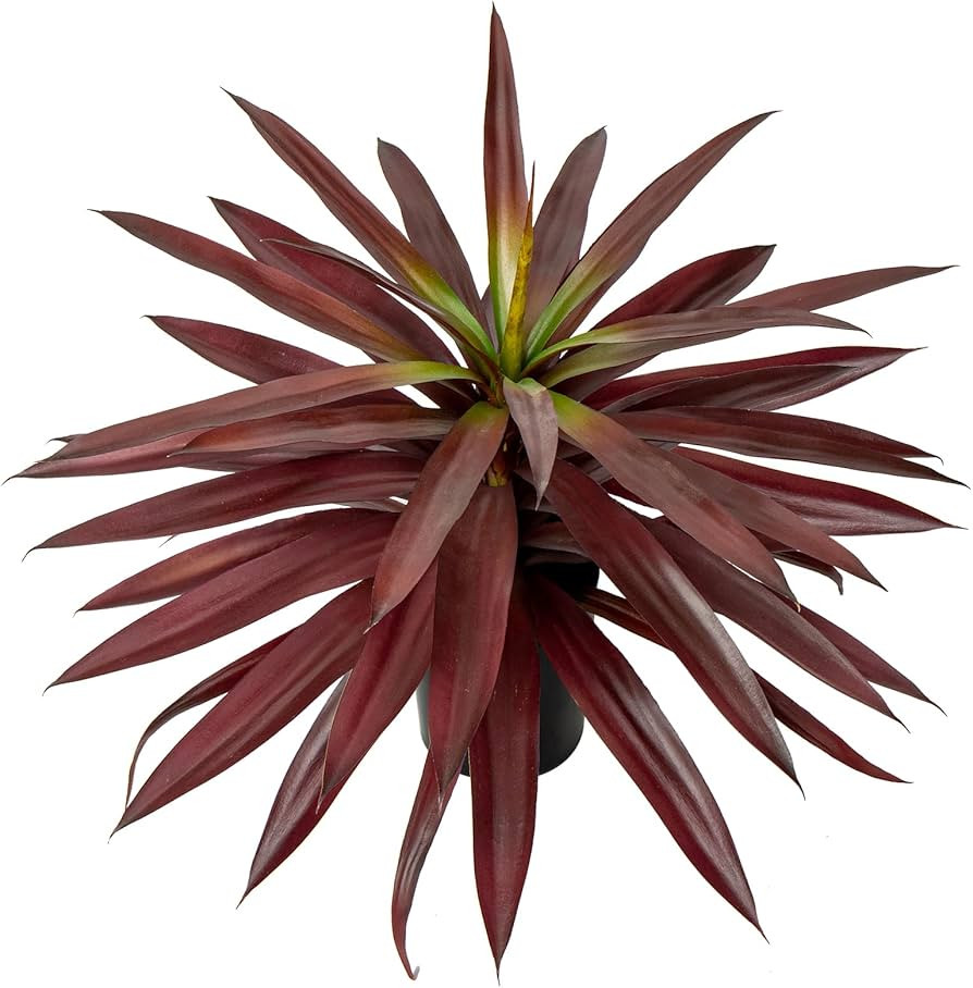 Briful Large Fake Agave Plant 17.3 Inch Red Artificial Yucca Potted Plants Outdoor Faux Agave Pla... | Amazon (US)