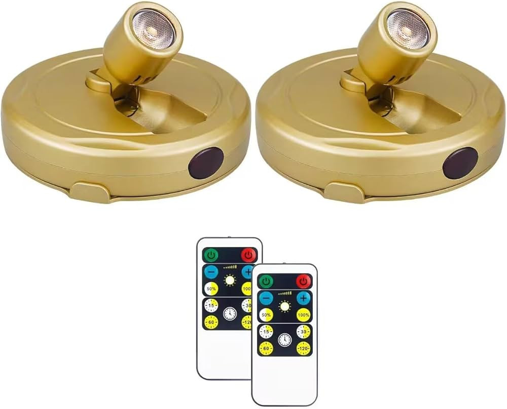 2Pack Wireless Battery Spotlight Indoor for Plants with Remote, Led Picture Painting Lights for W... | Amazon (US)