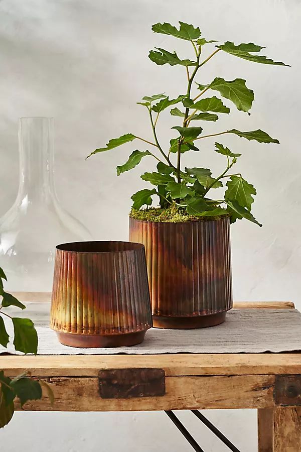 Burnished Ridge Planter | Terrain