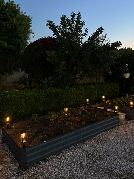 Solar powered outdoor garden lights, they look perfect with our raised garden beds! 

#LTKSeasonal #LTKhome #LTKfindsunder100