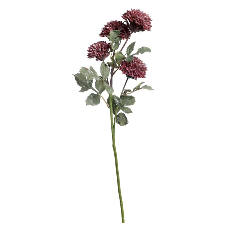 Burgundy Scabiosa Spray, 25.5" | At Home