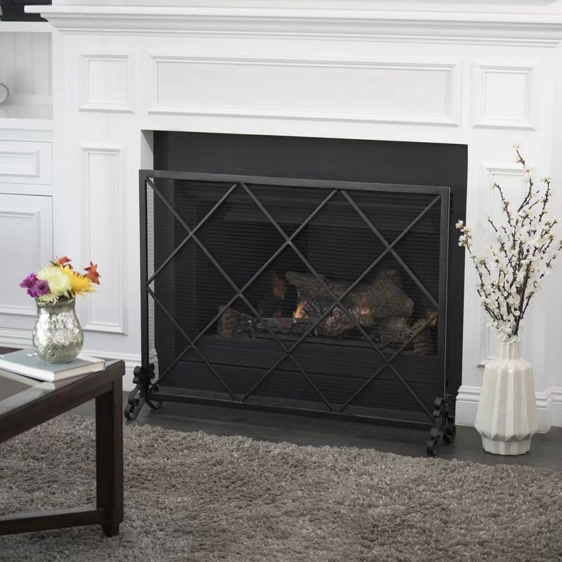 Tepper Iron Fireplace Screen | Wayfair North America