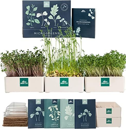 Urban Leaf Indoor Microgreens Growing Kit – Organic Micro Greens Sprout Seeds Kit – Self-Wate... | Amazon (US)